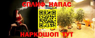 PSILOCYBIN Новоалтайск