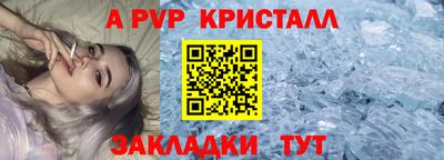 дмт Бийск
