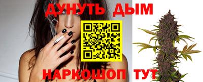 дмт Бийск