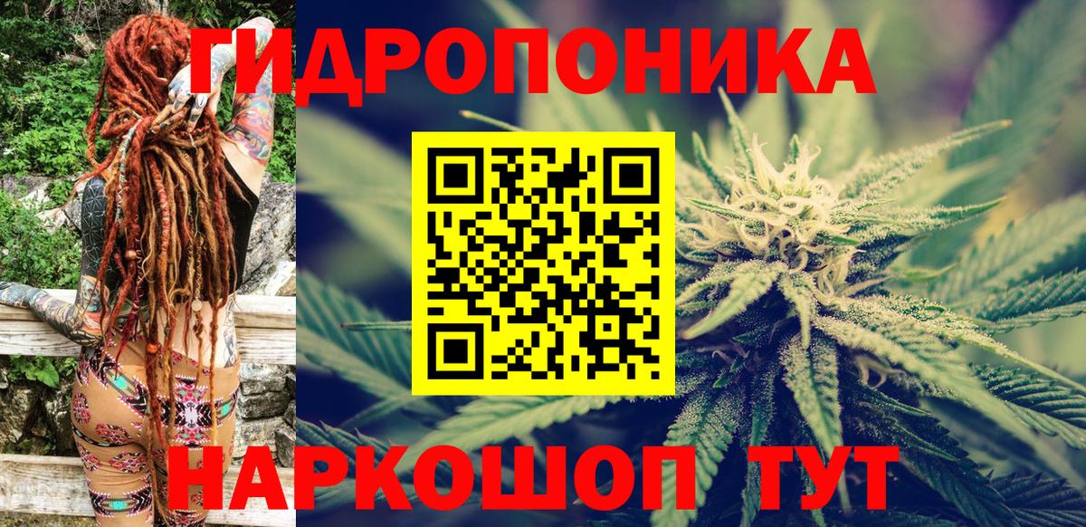 Камень-на-Оби  МАРИХУАНА план  Конопля OG Kush  Вход с VPN  Конопля THC 21% 